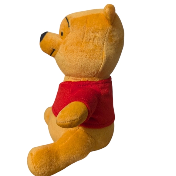 FREE! Disney Winnie the Pooh Plush - Picture 4 of 7